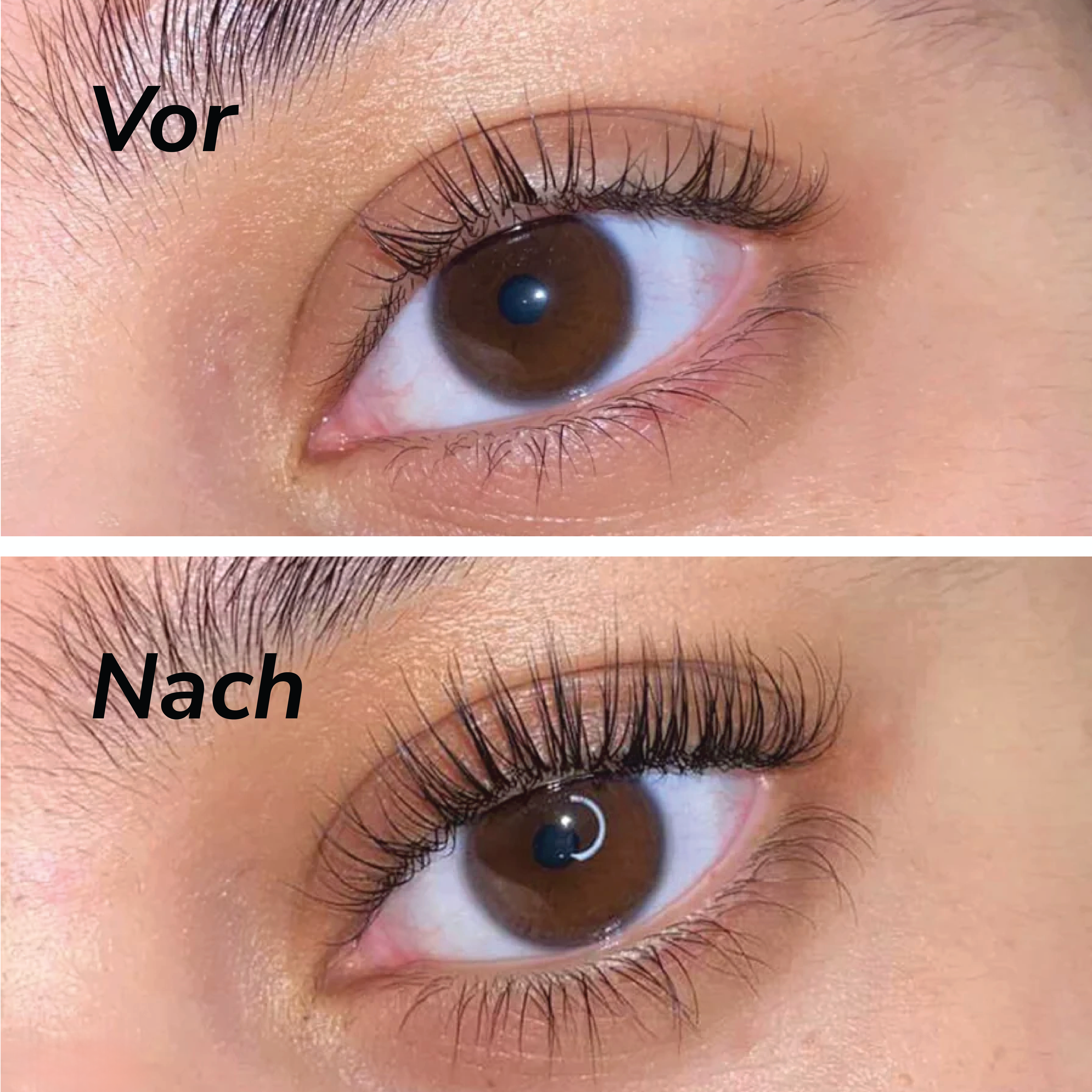 Eyelash Growth Serum