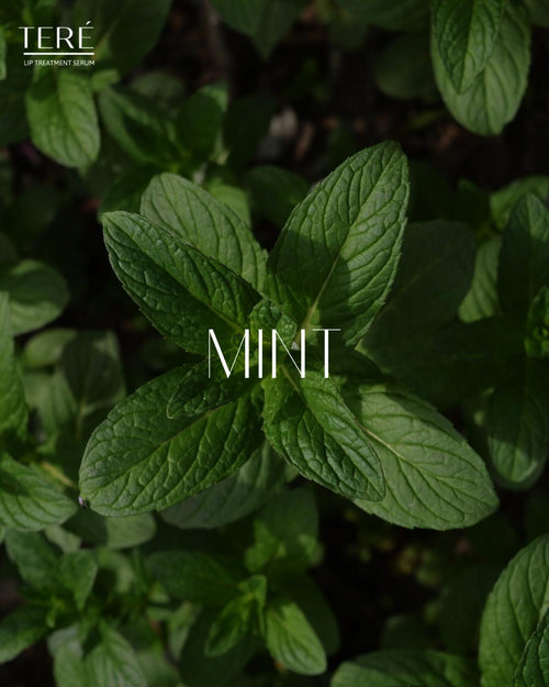 Mint
